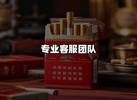 专业优势